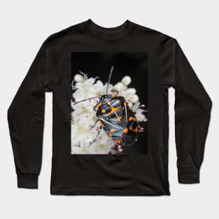 Murgantia histrionica (Harlequin Bug) in Southern California, USA Long Sleeve T-Shirt